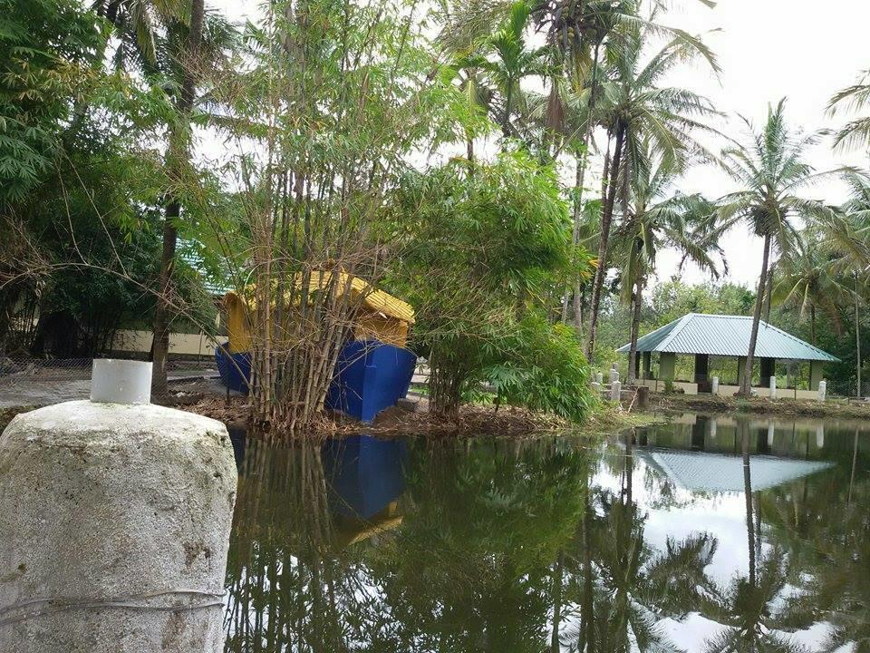 Coorg Anekad Jungle Stay Kushālnagar Eksteriør billede